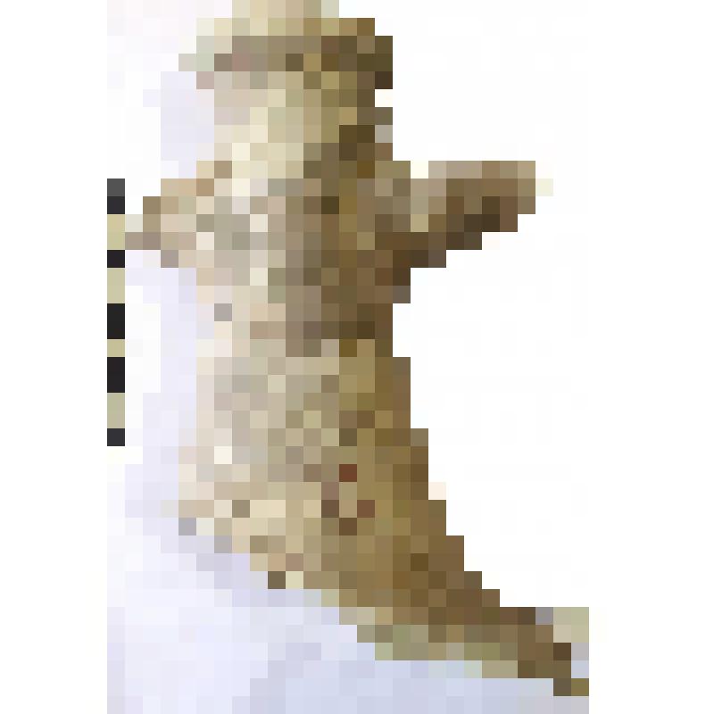 Горло амфоры типа D с дипинто