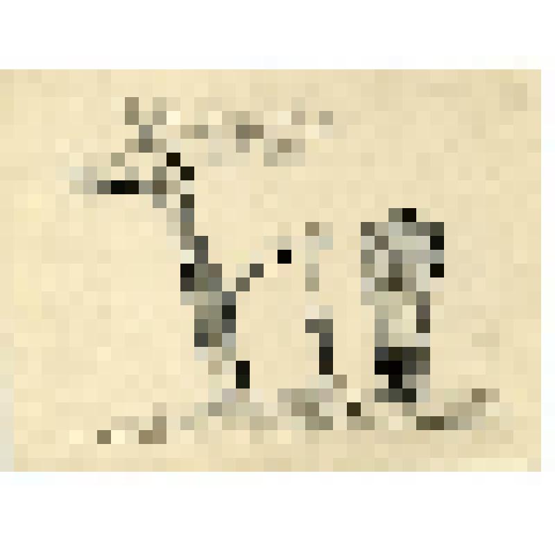 Рисунок. Ловушка для птиц