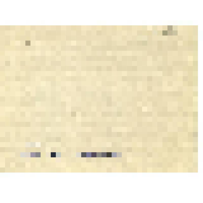 Рисунок. Ловушка для птиц