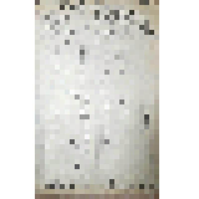 Справка ревизионной комиссии колхоза им. Молотова Шипуновского р-на за 1931-1932