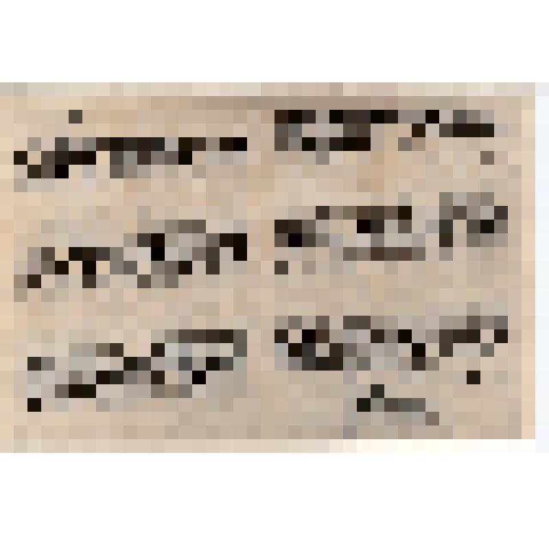 Ф/копия. Приветственное письмо Московскому госуд. Университету в связи с 185-летием со дня основания от Киевского Университета