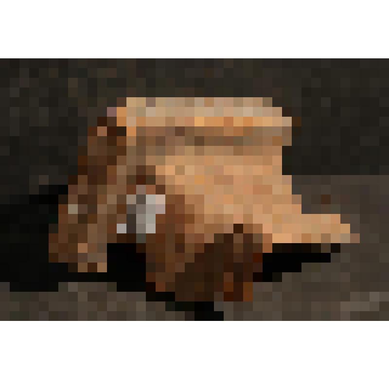 Изразец печной, гладкий расписной. Фрагмент