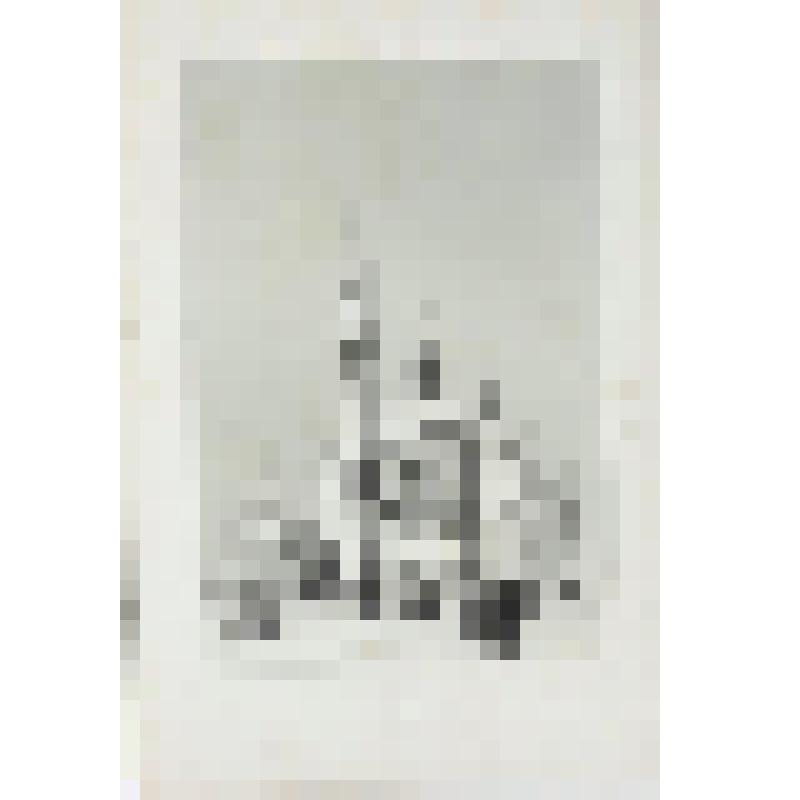 Литография. "Москва. Колокольня Ивана Великого. В Кремле."