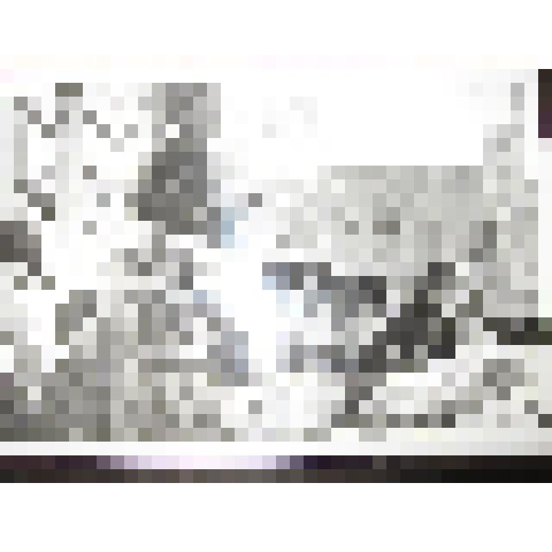 Фотография. А.А. Есенина на открытии мемориальной доски на доме в Петровском переулке, где жил С.А. Есенин с Мариенгофом