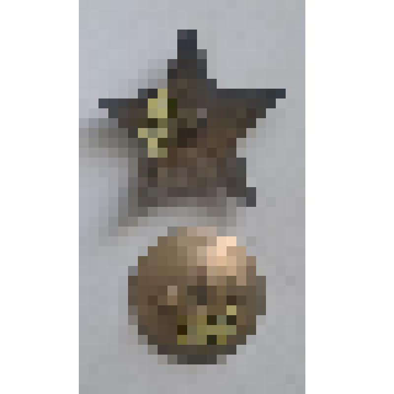 Орден СССР "Орден Красной звезды" №1837351