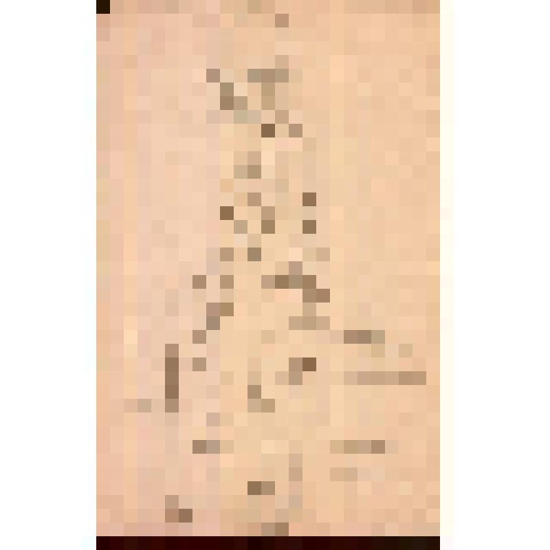 Наталья Туркус в панаме