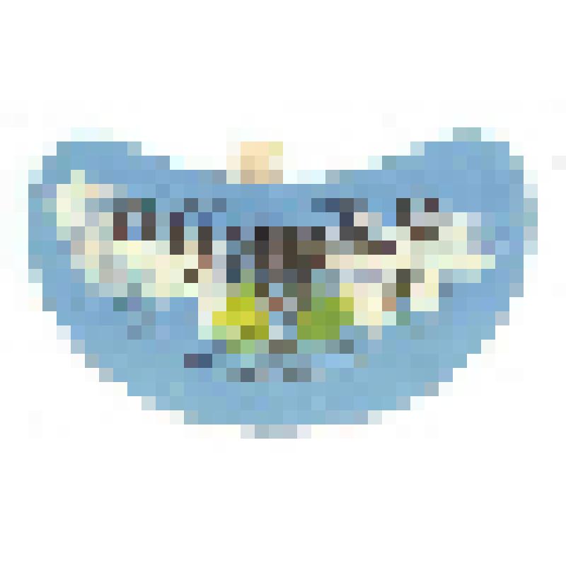 Кольеретка «Ризьке пиво» («Рижское пиво») к напитку производства Харьковского пивзавода № 2, из коллекции кольереток - этикеток горловых к бутылкам для пива