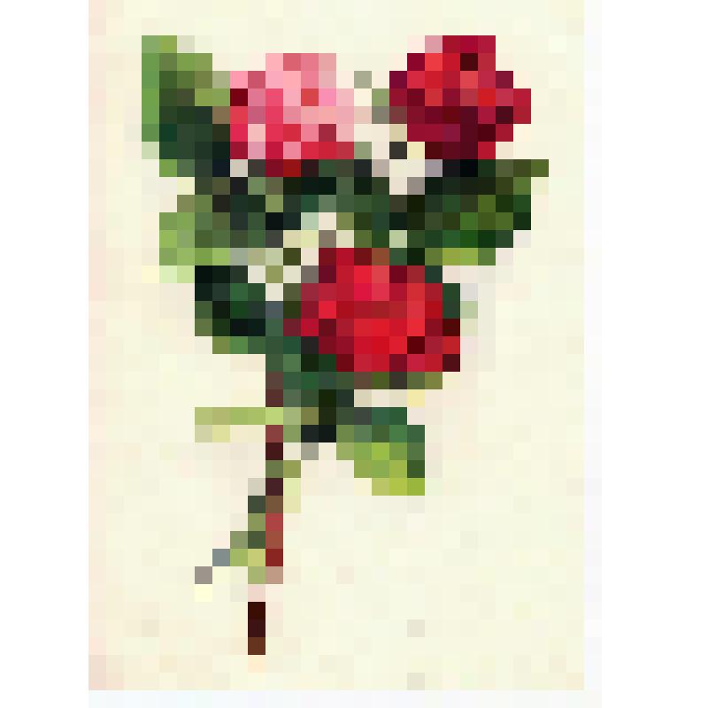 Письмо открытое немаркированное художественное "Розы"