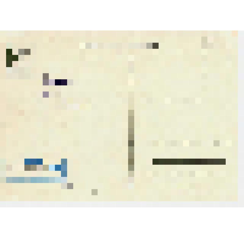 Письмо открытое немаркированное художественное "Розы"