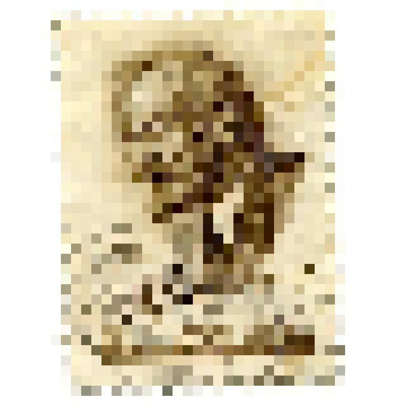 Почтовая марка 40 к. В.И. Ленин