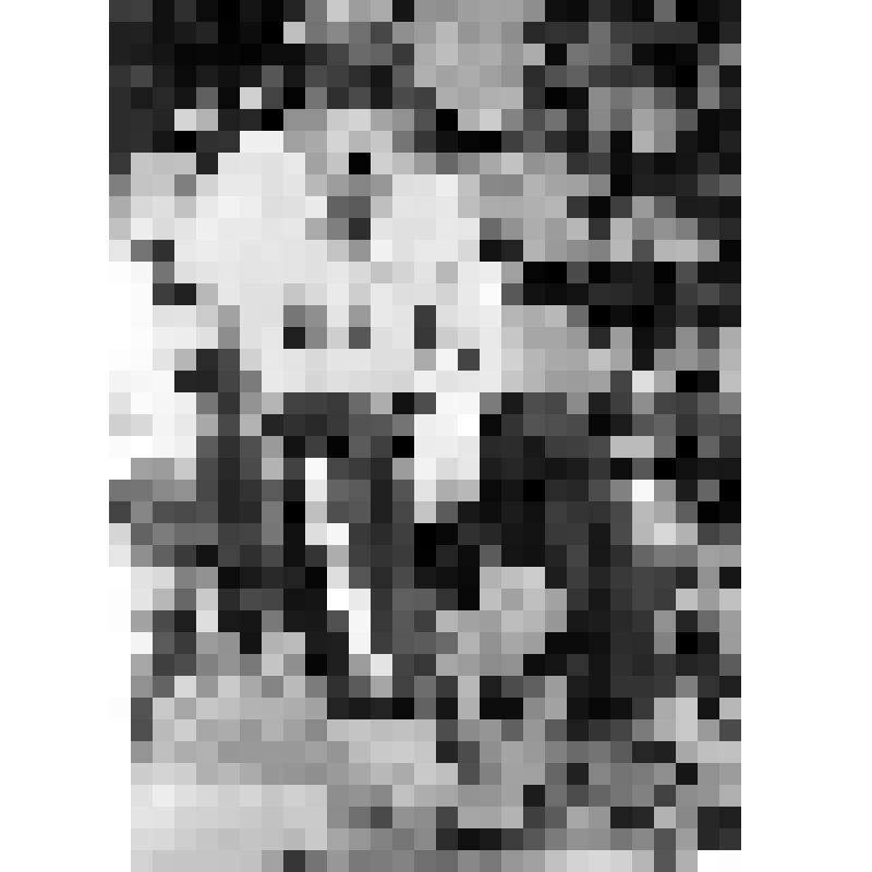 Фотография. Илья Струкалин