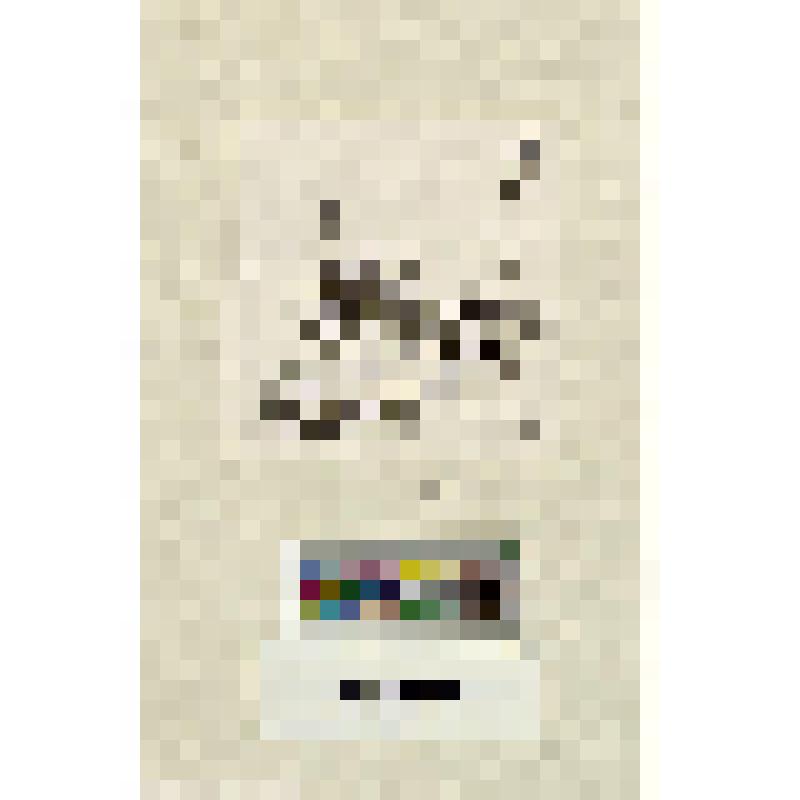 Заглавная буква "О" с виньеткой-изображением одноместной пролетки