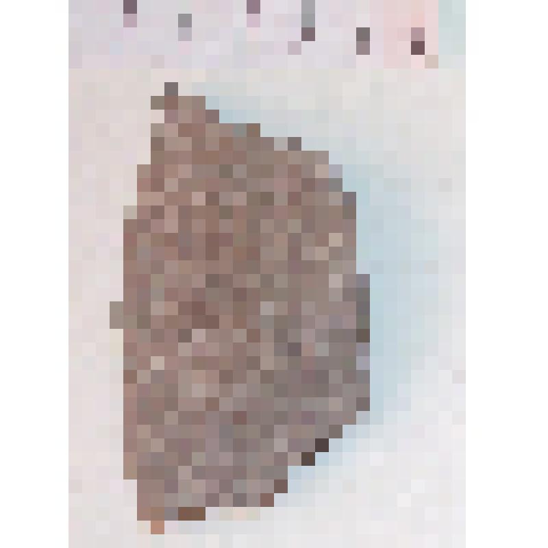 Фрагмент стенки лепного сосуда