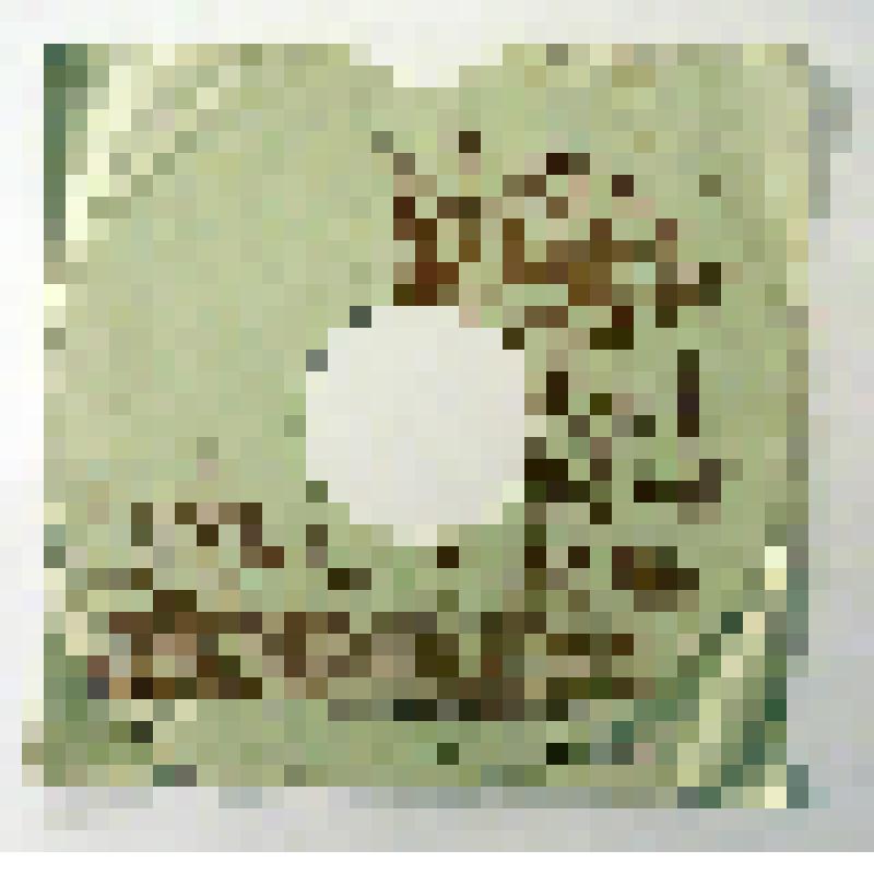 Грампластинка. "Каким ты был", песня из к-ф "Кубанские казаки" (муз. И. Дунаевского, сл. М. Исаковского), в исп. М.П. Максаковой; хор и орк. под упр. И.О. Дунаевского.
 "Урожайная", песня из к-ф "Кубанские казаки" (муз. И. Дунаевского, сл. М. Исаковского)