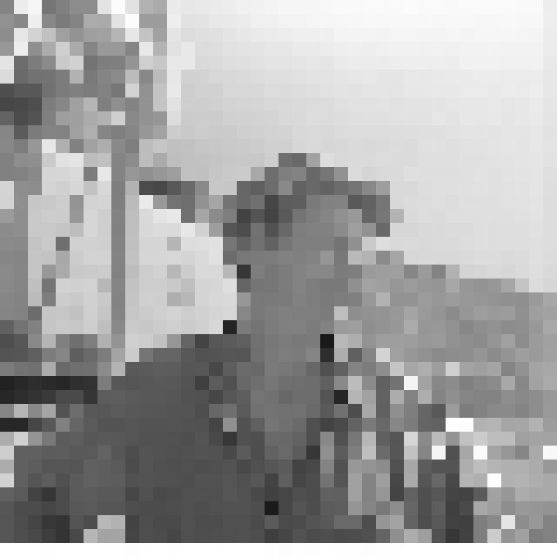 Негатив. Паньков Пётр Михайлович, передовой машинист станка вращательного бурения Балаклавского рудоуправления им. М.Горького