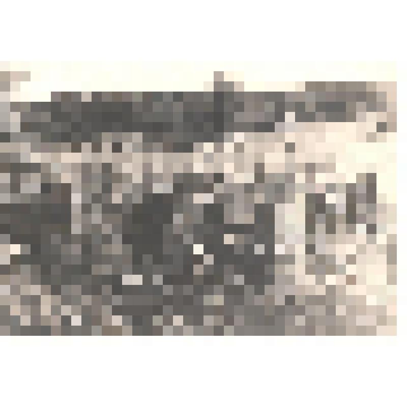 Фотография     "Село Айкино. Деревня Нижний Шежам, могилы погибших во время белого террора в 1919году."