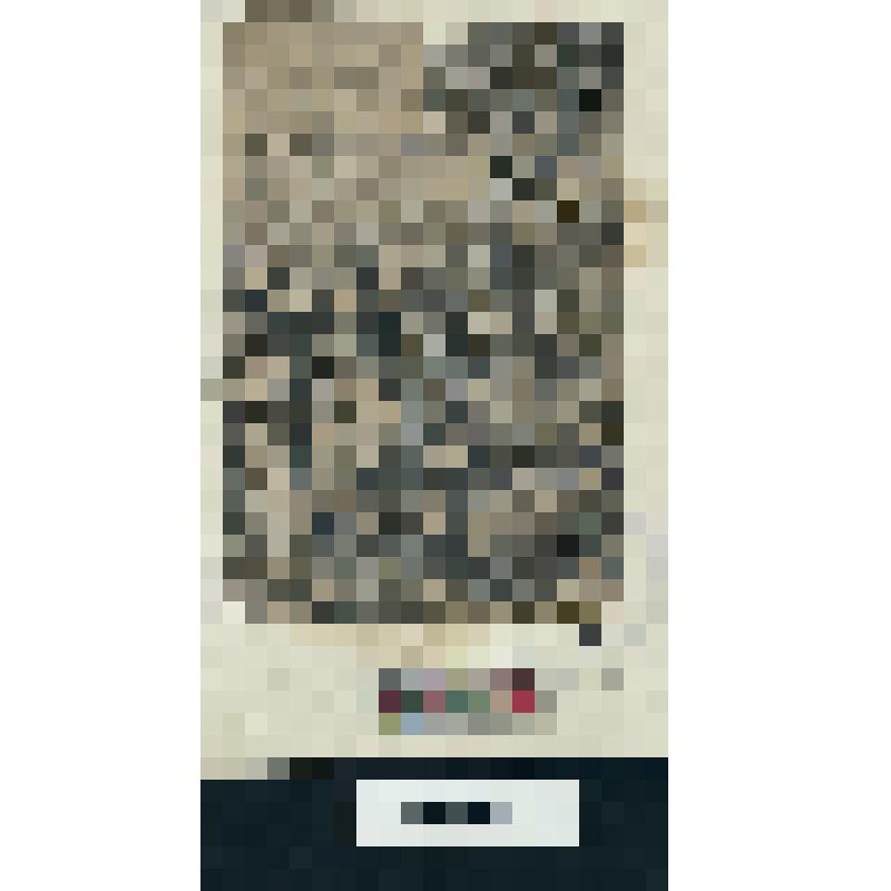 Въезд Христа в Иерусалим