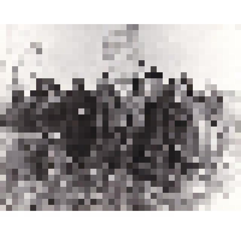 Фото. Сюжетное. На полевых сельхозработах