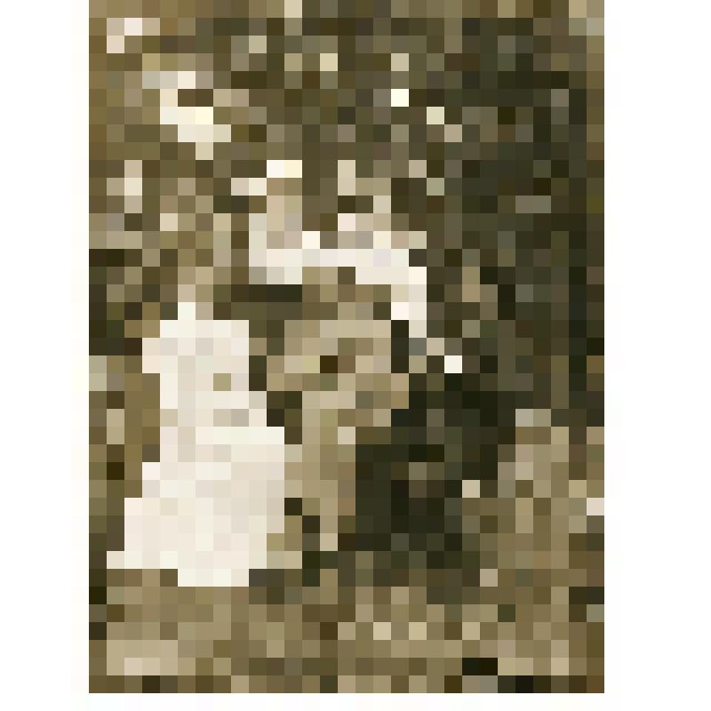 Фотография черно-белая. Групповой портрет. Сидят: (слева-направо) Елизавета Лотарева (Якульская). Стоят: (слева-направо) Виктор Журов, Вера Лотарева, Мария Николаевская Ильвовская