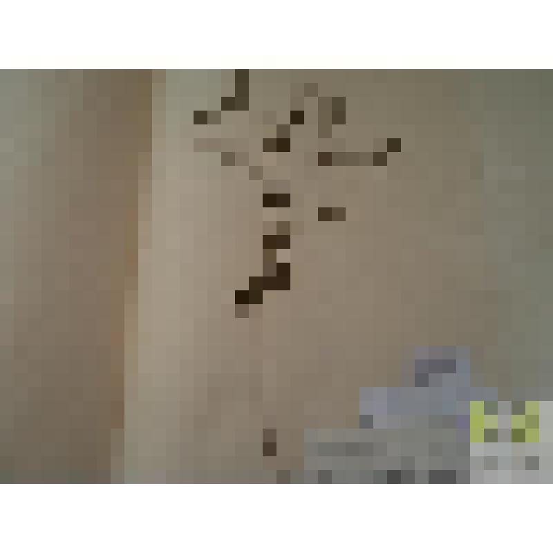 Лапчатка норвежская (Potentilla norvegica L.)