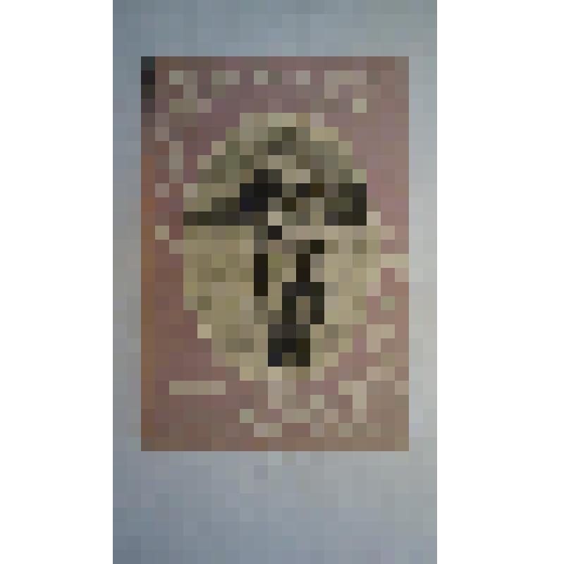 Репродукция с фотографии Л.Н.Толстого в картонной рамке.Фото С.А .Толстой. Ясная Поляна. 1900г