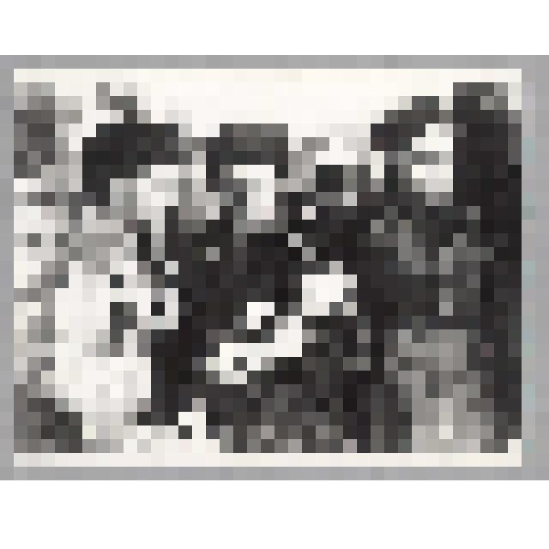 Фотоотпечаток. Командир 8-й Гв. отдельной Краснознаменной дивизии генерал-майор Панфилов И.В. с офицерами своего штаба изучают обстановку перед боем, ноябрь 1941 г