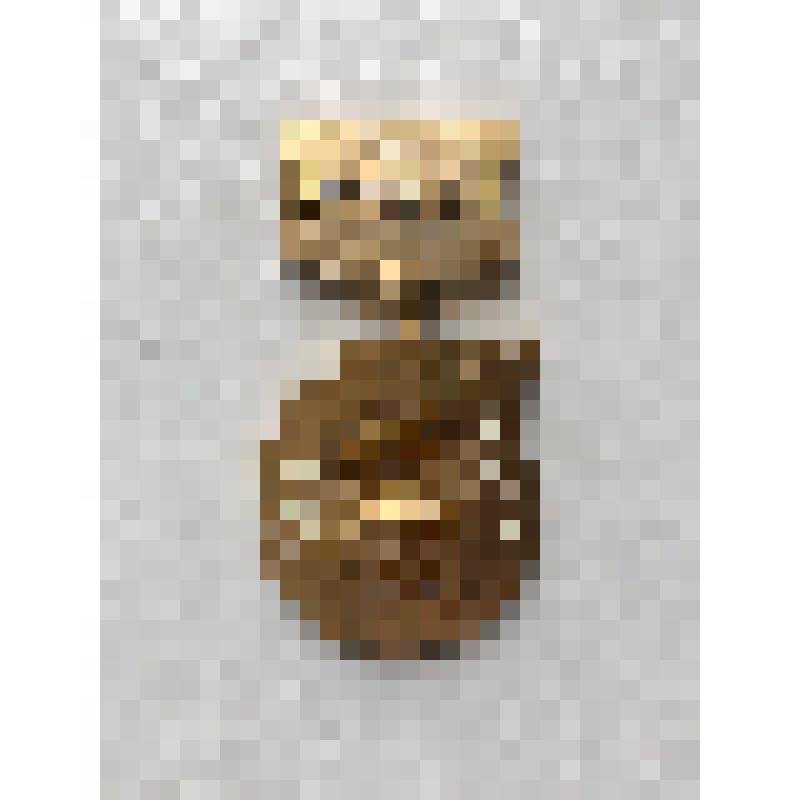 Знак "Ветеран 13-го ОГВТТП"