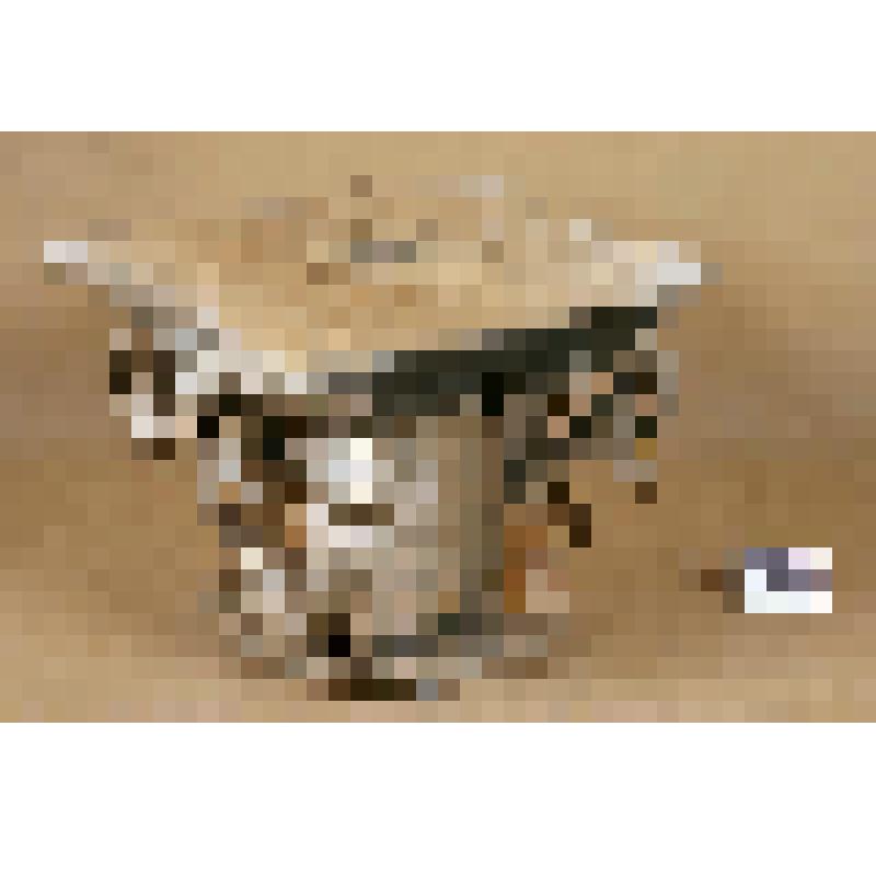 Капитель колонны из местного яруса иконостаса