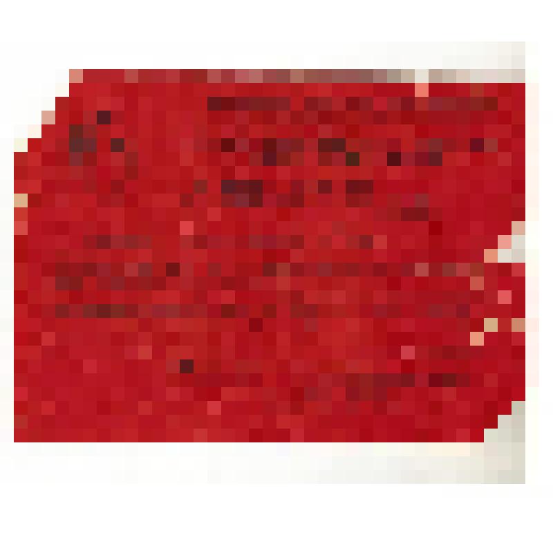 Мандат № 193 делегата 29-ой конференции Михайловской районной партийной организации