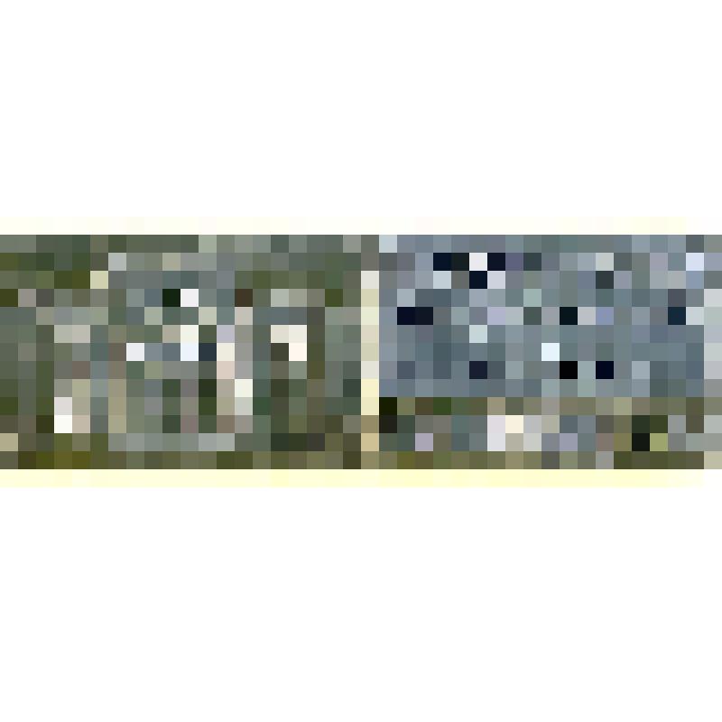 Значок нагрудный, посвященный Государственному краеведческому музею г.Кишинева. Коллекция "Музеи СССР"