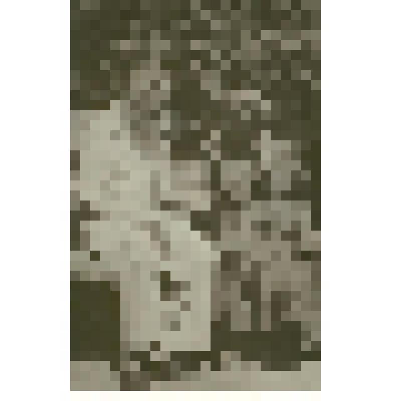 Фотография. Хохлов С.С. с цыганкой, из коллекции материалов Хохлова Сергея Спиридоновича (1910-1974), саратовского ученого-генетика, доктора биологических наук, профессора, зав.кафедрой генетики и дарвинизма СГУ