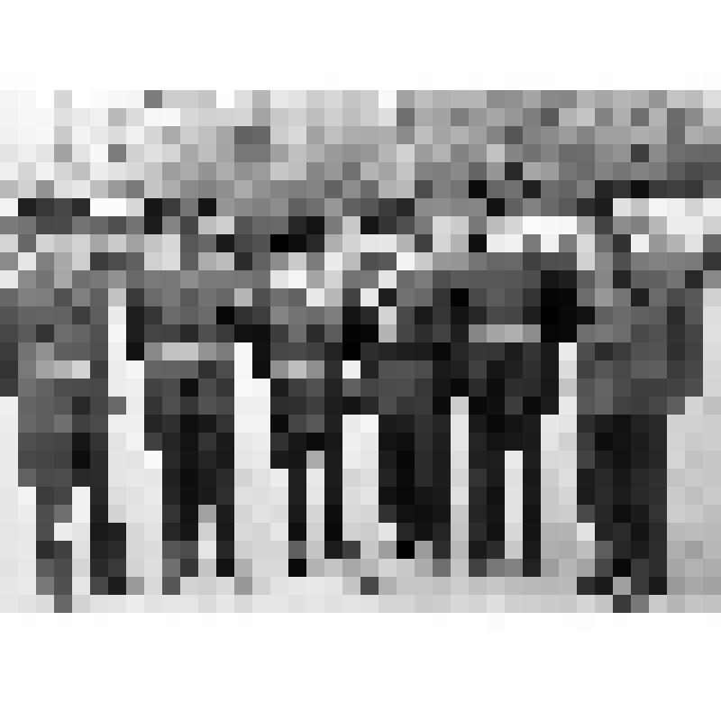 Дежурство во время первомайской демонстрации Тращенко П.Ф. - второй слева. Фотограф Ан.Пересветов