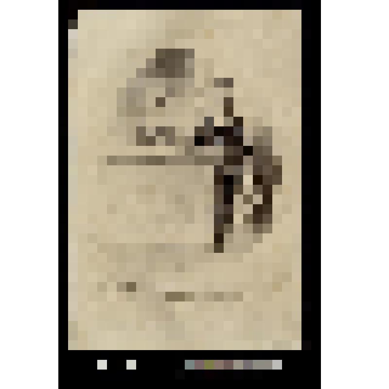 «Arthur, vous m'aviez promis un trône et vous m'avez placée dans un comptoir» 