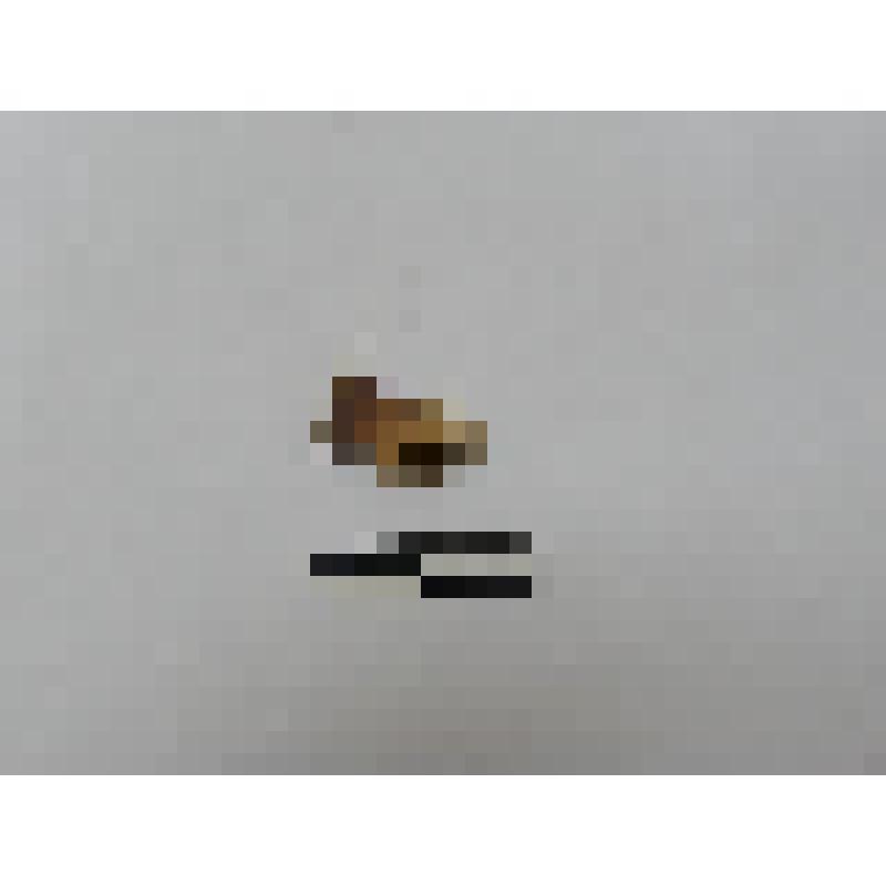 Зуб