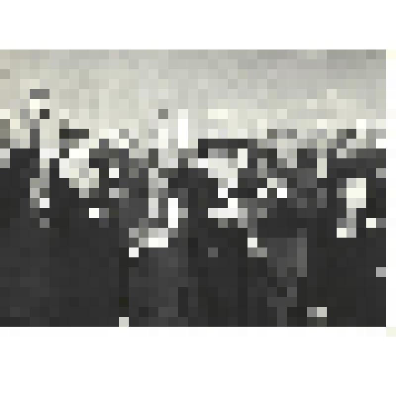 Фотографии. Фото ч/б. Участники боев на Малой Земле, в центре А.М. Абрамов - командир 83-й морской бригады, 1973 г