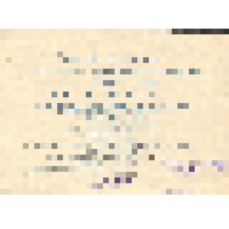 Приглашение на концерт дипломантов Московского ордена Ленина Государственной консерватории им. П.И. Чайковского