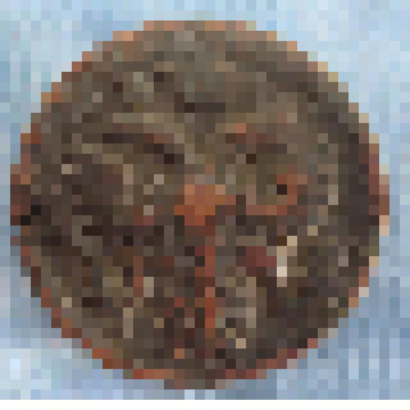 Монета Российской империи. Деньга 1737 года выпуска