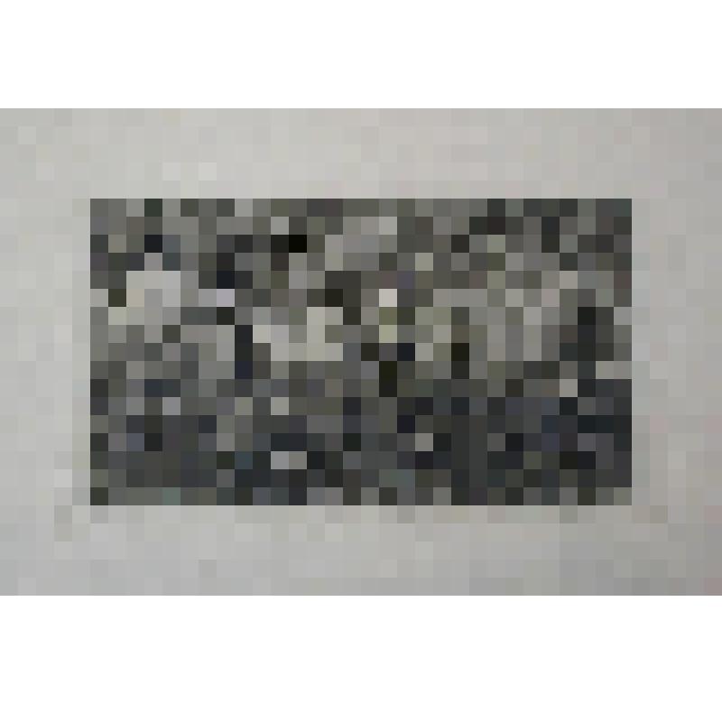 Буковая роща