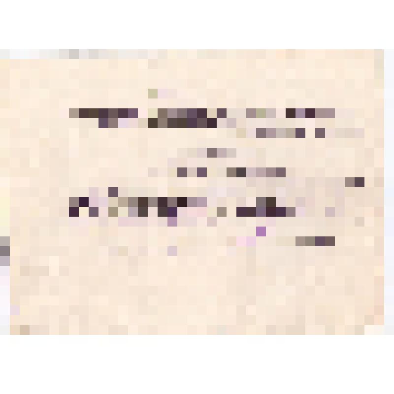 Выписка из протокола №15 об утверждении Лутыева Л.Л. заместителем заведующего идеологическим отделом парткома управления