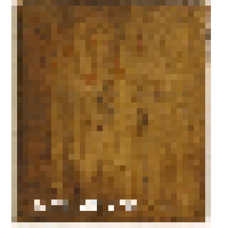 София Премудрость Божия. Икона