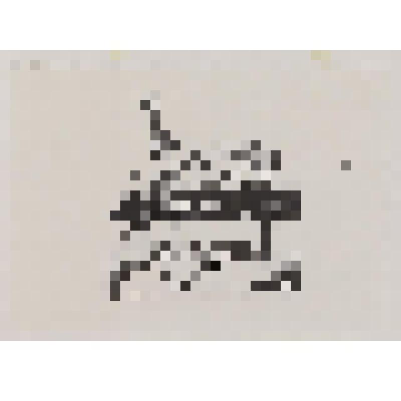 Из книг по искусству А. С. Зуева. Экслибрис