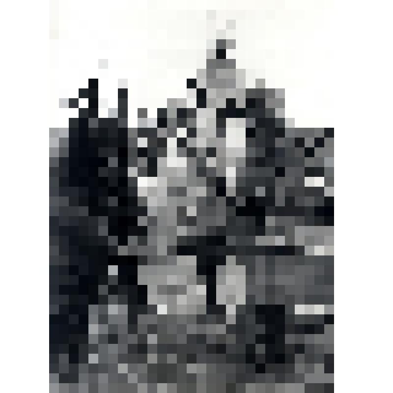 Фотография черно-белая. Ветеринар осматривает оленей колхоза им. В.И.Ленина