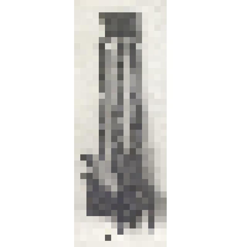 Негатив на стеклянном носителе. Пороховницы. Индийцы, сикхи