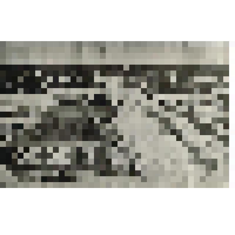 Фотография. Улица Дворянская