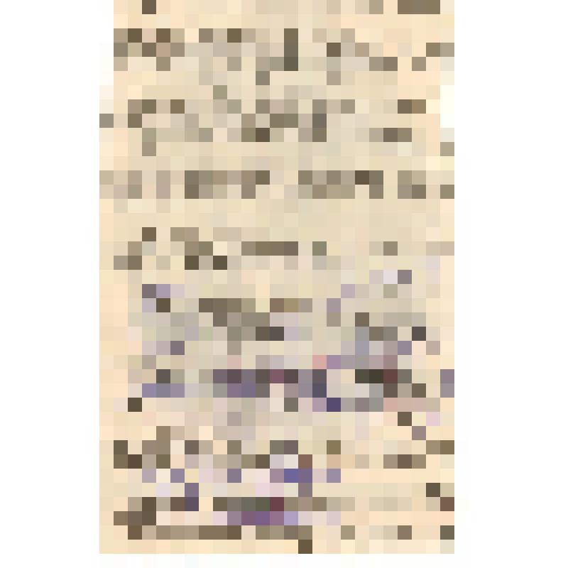 Вырезка  из печатного издания. К.П. Шкарин, артист Императорских театров. XIX в., конец - ХХ в., начало. Россия