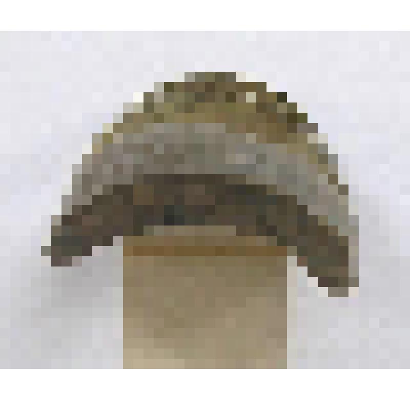 Наструг деревянный