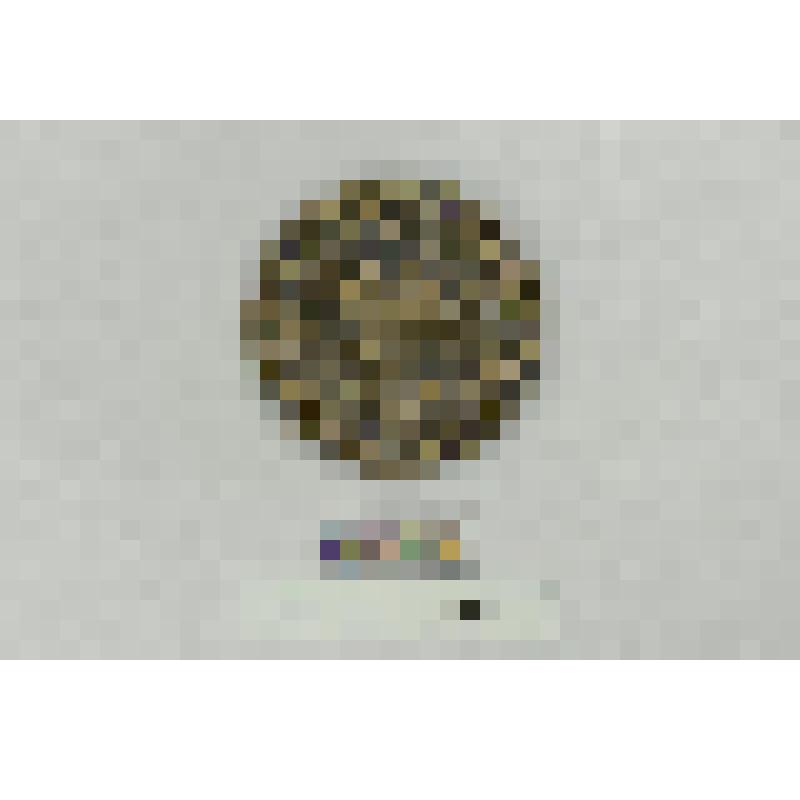 СССР. Медаль. 70 летие Чувашской АССР. 1990 г