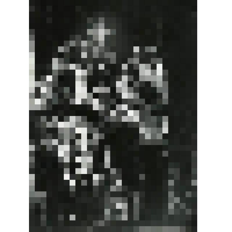 Фотография. Сцена. В центре на высоком табурете сидит Леди - Л. Борушко - рост, почти в профиль, руки. "Знак батареи Красного дьявола" (пост. С. Яшин, худ. Е. Качелаева). Москва, Театр им. Н.В. Гоголя (железнодорожного транспорта)