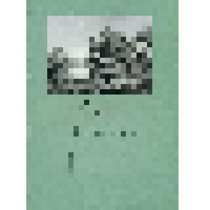 Книга. Алтай в трудах ученых и путешественников XVIII - начала XX веков. Т. 2