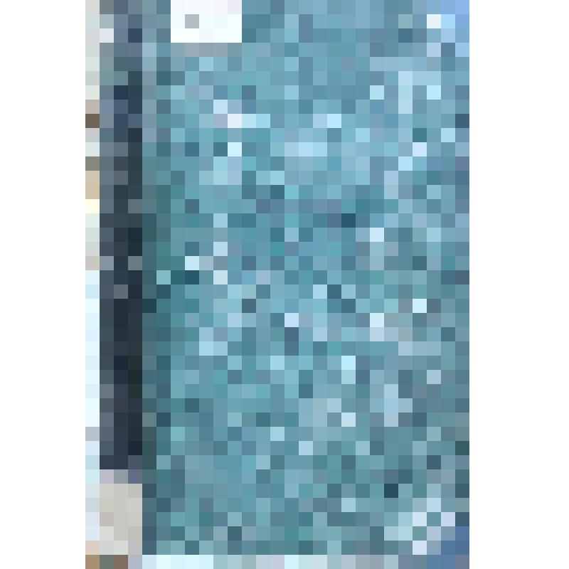 Всеобщая история литературы. Составлена по источникам и новейшим исследованиям при участии русских ученых и литераторов под редакцией В.Ф. Корша. - Вып.2